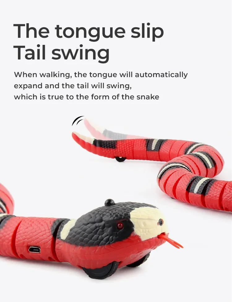 Cat Snake Toy