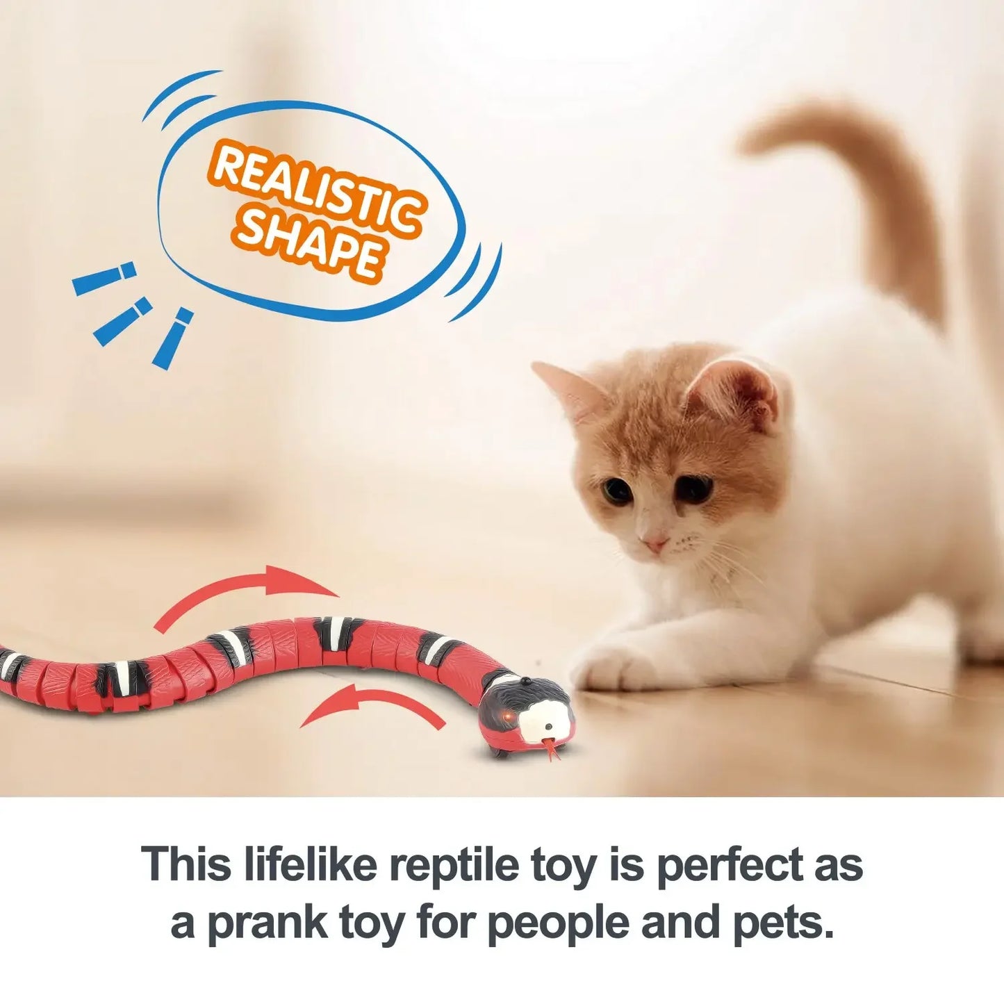 Cat Snake Toy