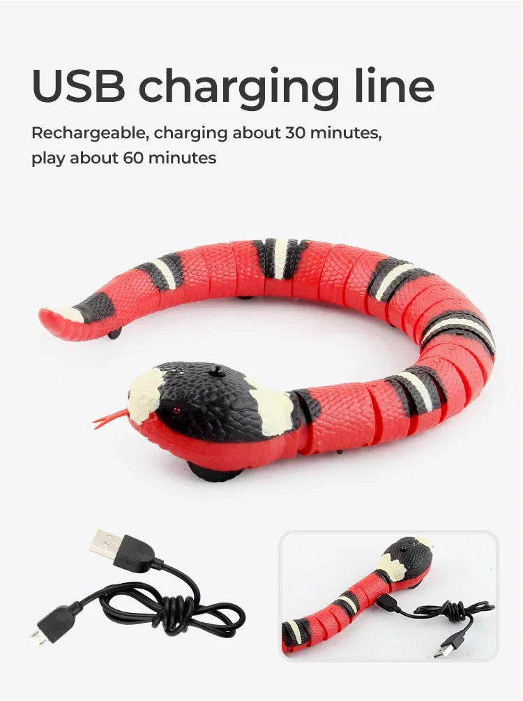 Cat Snake Toy