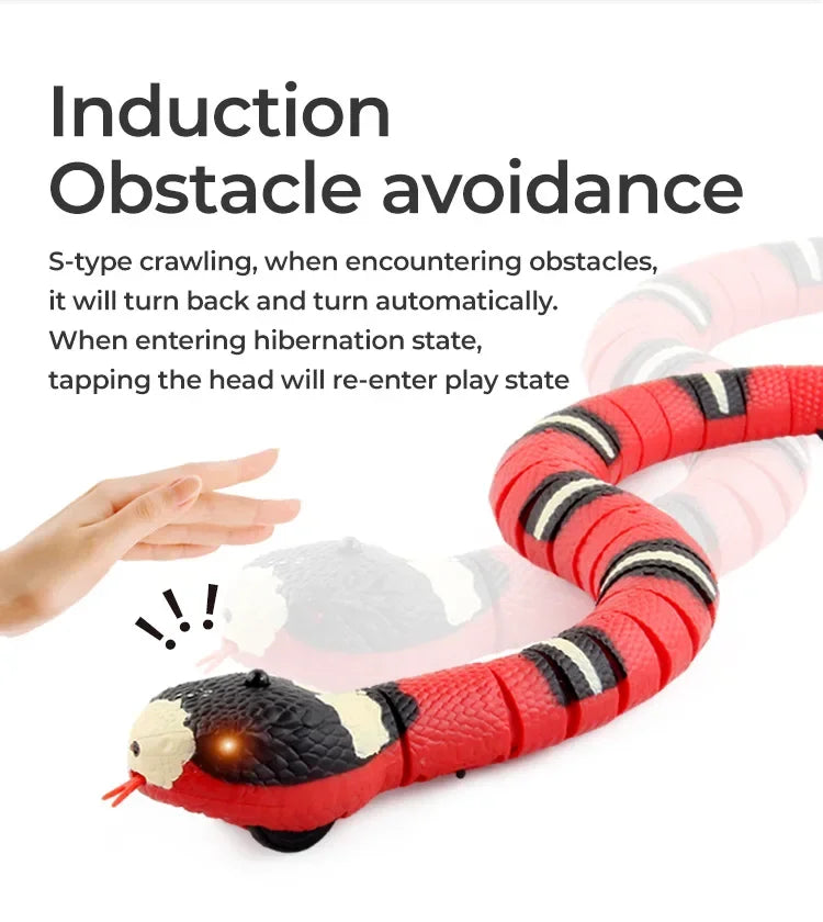 Cat Snake Toy