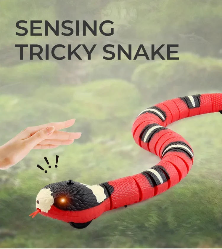 Cat Snake Toy